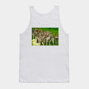 Timber Wolves Tank Top